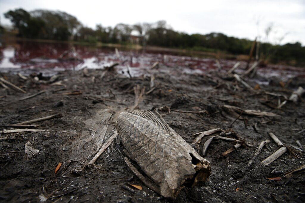 APTOPIX Paraguay Polluted Lagoon